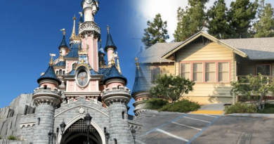 Disneyland’in Kalbinde 16 Yıl: Parkta Gizlice Yaşayan Çiftin Şaşırtıcı Hikayesi!