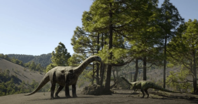 57 Ülkede En Çok Ilgi Gören ve %100 Olumlu Yorum Alan Netflix'in Dinozorları: Jurassic Park'tan 33 Yıl Sonra Tarihe Geçiyor - Haberler