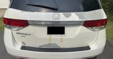 Honda'nın Beyaz Boya Krizinde Yeni Gelişme: Mahkeme Görüş Değiştirdi