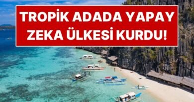Bir Ada Satın Aldı, Yapay Zeka ile Ülke Yönetmeye Başladı