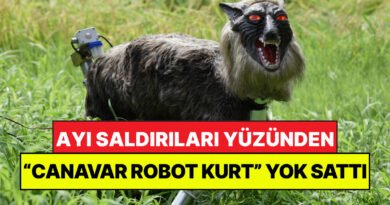 Ayılardan Kurtulmak İçin "Canavar Kurt" Ürettiler: Her Yerde Kapışılıyor!