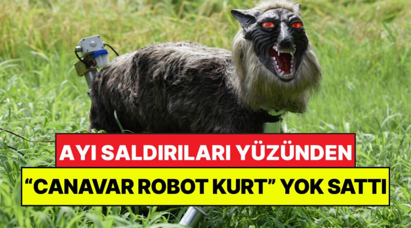Ayılardan Kurtulmak İçin "Canavar Kurt" Ürettiler: Her Yerde Kapışılıyor!