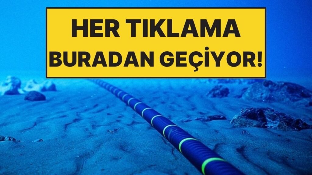 Her Gün Kullanıyoruz, Ama Altında Gizli Devasa Bir Deniz Ağı Var!