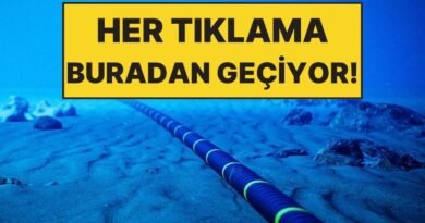 Her Gün Kullanıyoruz, Ama Altında Gizli Devasa Bir Deniz Ağı Var!