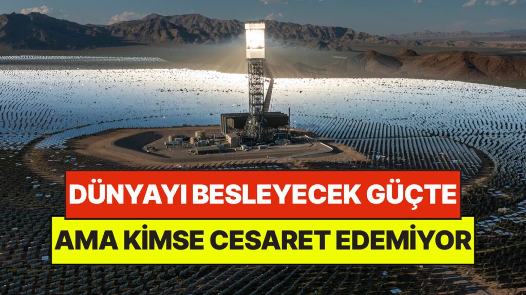 Dünyayı Besleyecek Güçteki Proje: Ancak Cesaret Eden Yok