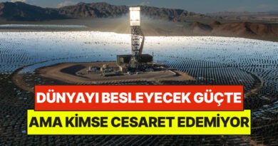 Dünyayı Besleyecek Güçteki Proje: Ancak Cesaret Eden Yok
