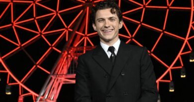 Örümcek-Adam: Yepyeni Bir Gün, Tom Holland'ın Son Örümcek Projesi mi?