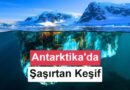 Antarktika'nın Altında Gizli Dev Balık Şehri Keşfedildi