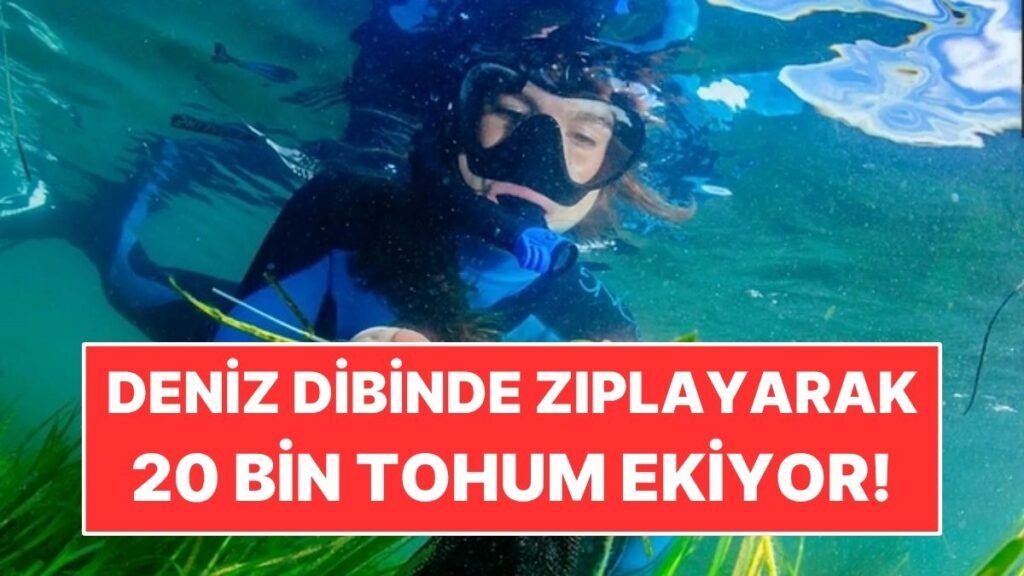 Deniz Tabânında Zıplayarak 20 Bin Tohum Ekişine Katılıyor!