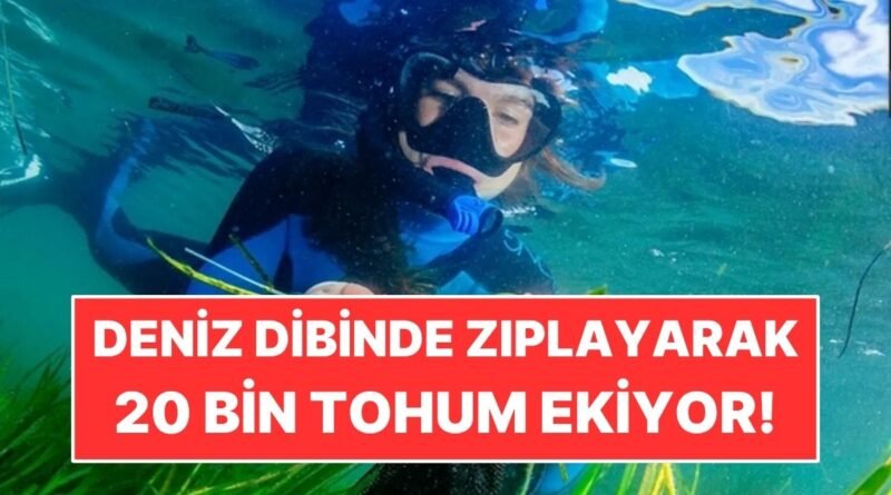 Deniz Tabânında Zıplayarak 20 Bin Tohum Ekişine Katılıyor!