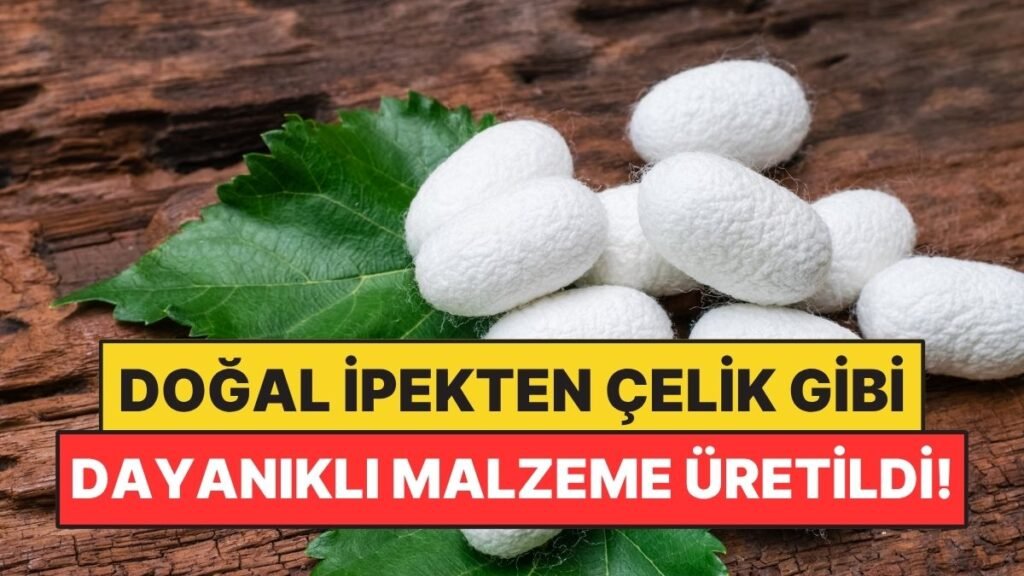 Doğal İpekten Çelik Kadar Dayanıklı Malzeme Geliştirildi