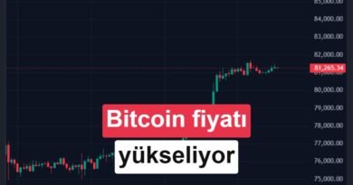 Bitcoin Fiyatı Tekrar Yükselişte | DonanımHaber