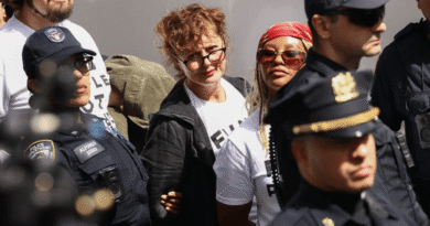 Oscar Ödüllü Susan Sarandon ve "Hacks" Dizisi Yıldızı Hannah Einbinder Gözaltına Alındı! - Haberler