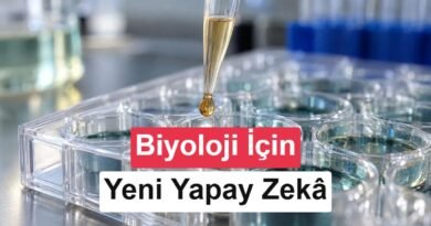 Microsoft'tan Biyoloji Alanında Yeni Yapay Zeka: Quine